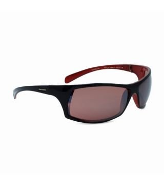 Lentes Dynamic