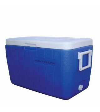 Conservadora Polar Cooler 46 lts.