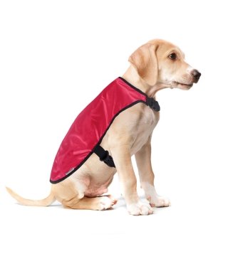 Capa Impermeable Pet