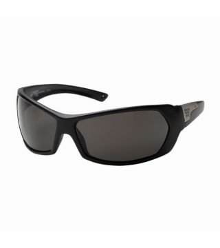 Lentes Zebra