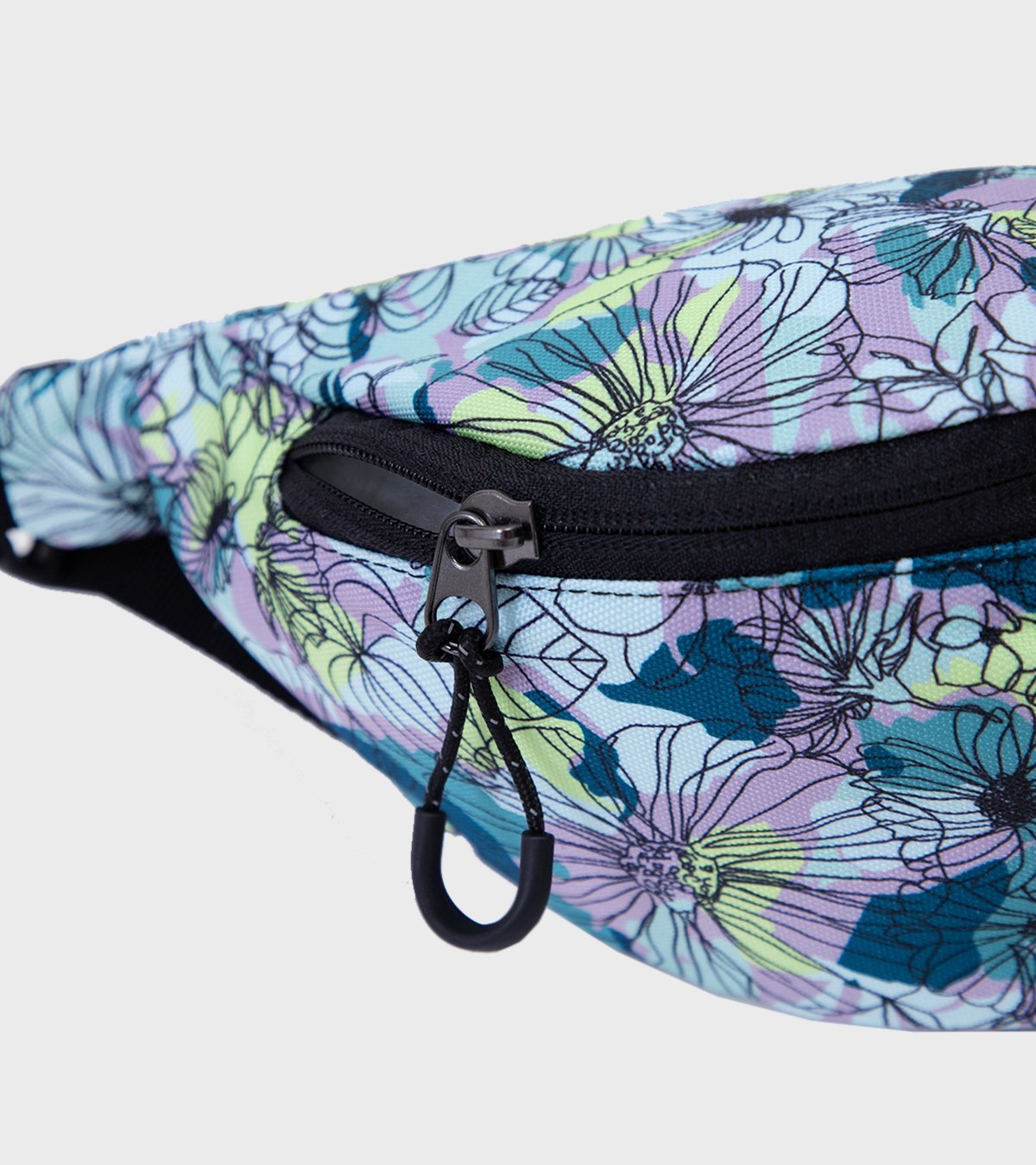 Ri&ntilde;onera Acay