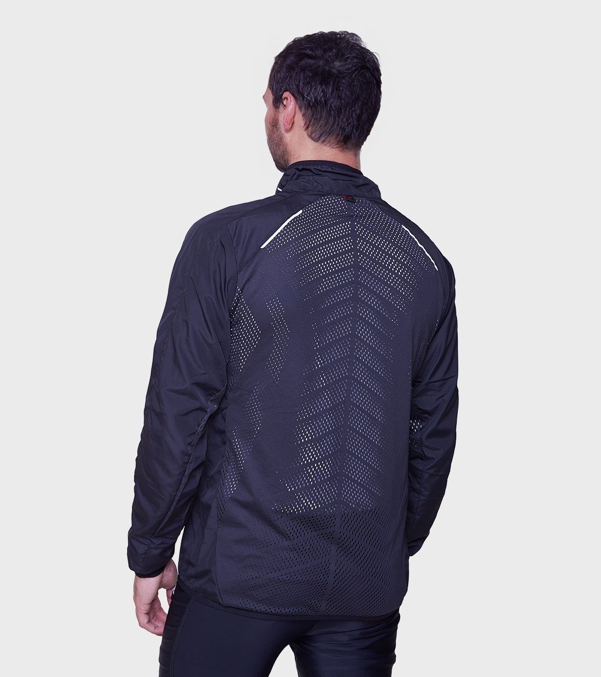 Rompeviento de hombre Talbot