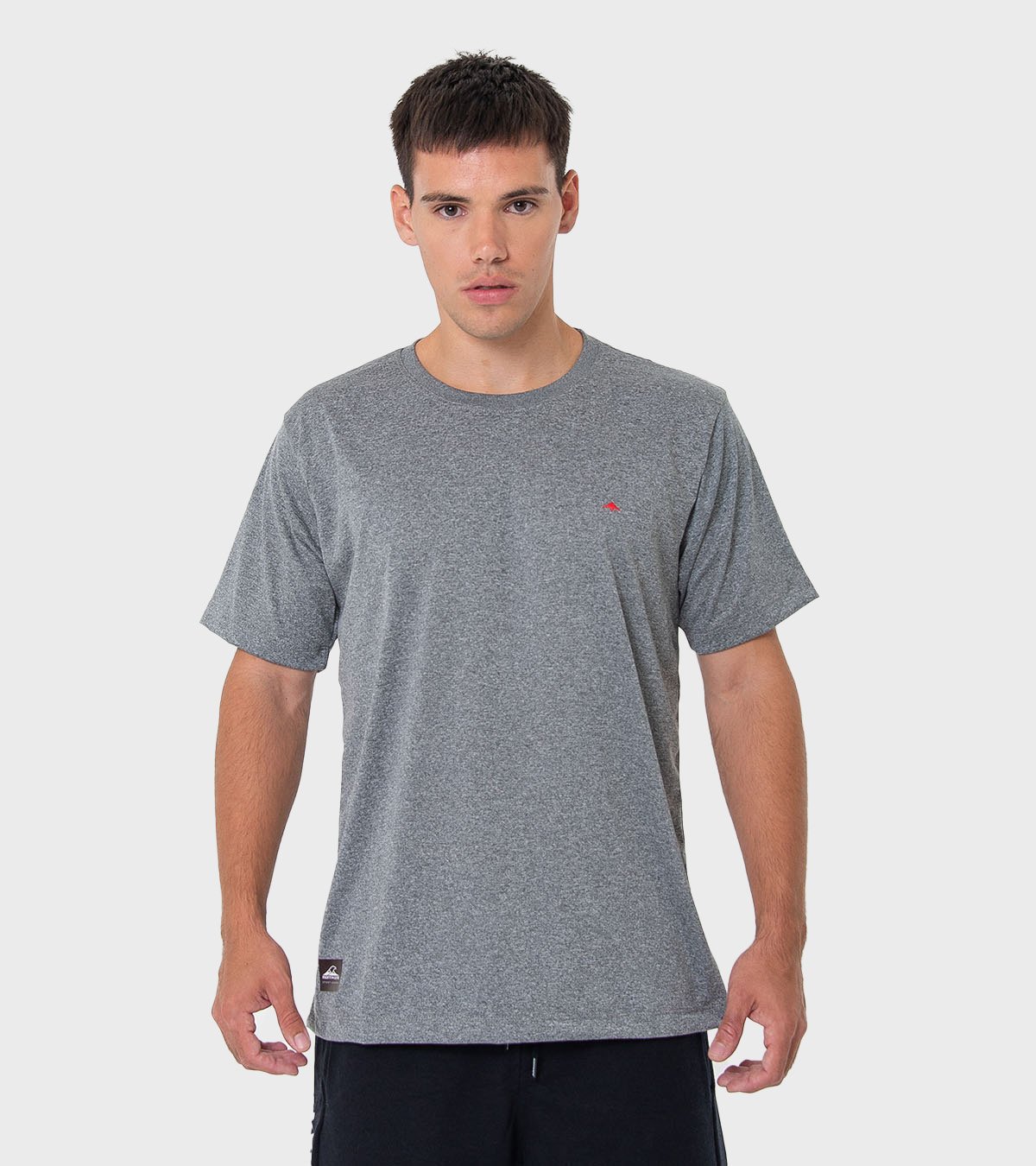 Remera de hombre Asterix