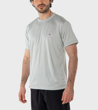 Remera de hombre Asterix