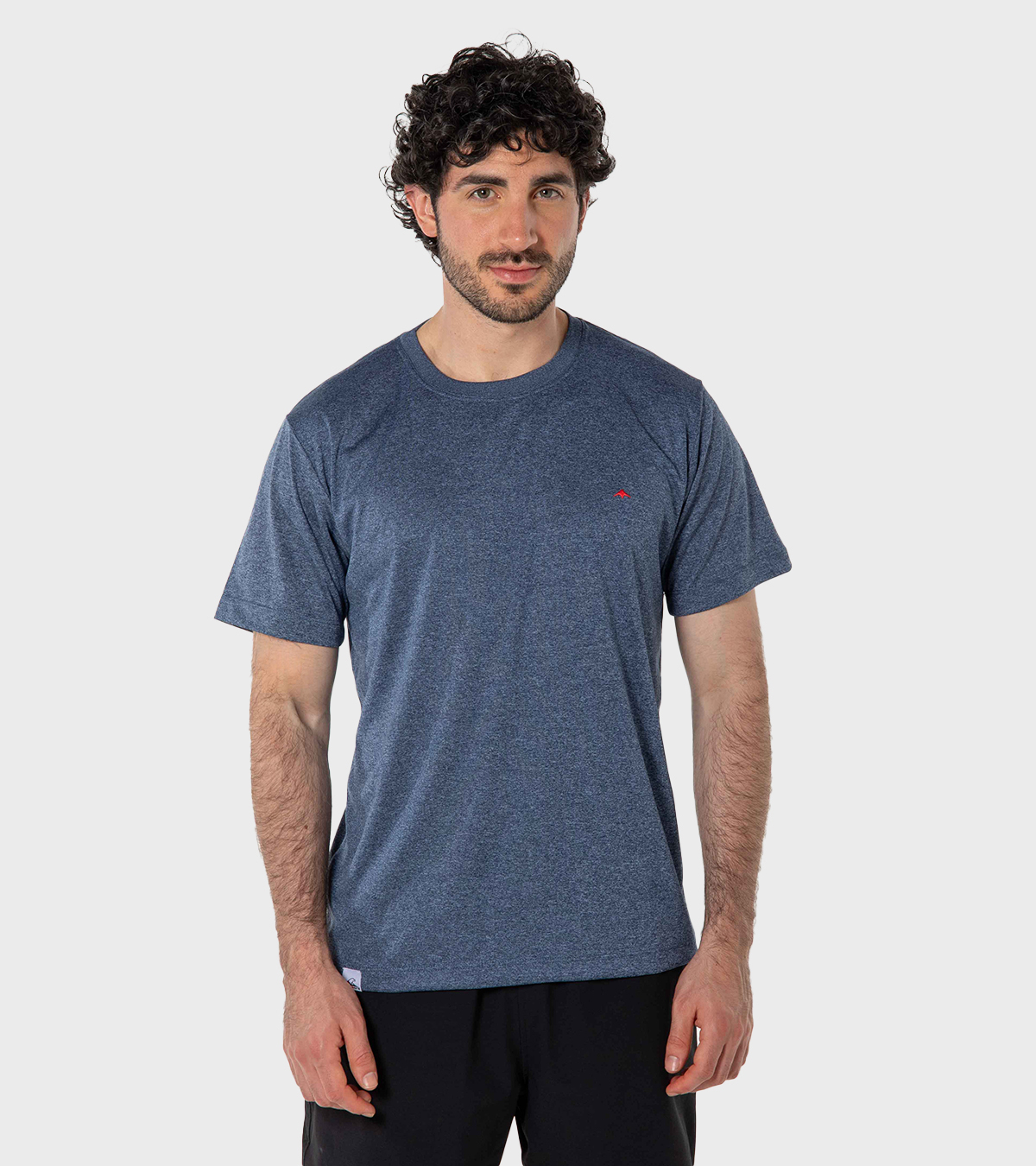 Remera de hombre Asterix