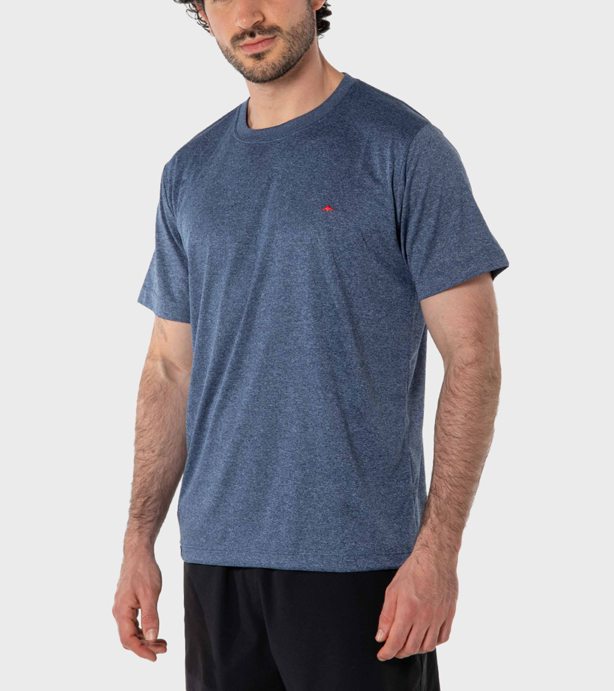 Remera de hombre Asterix