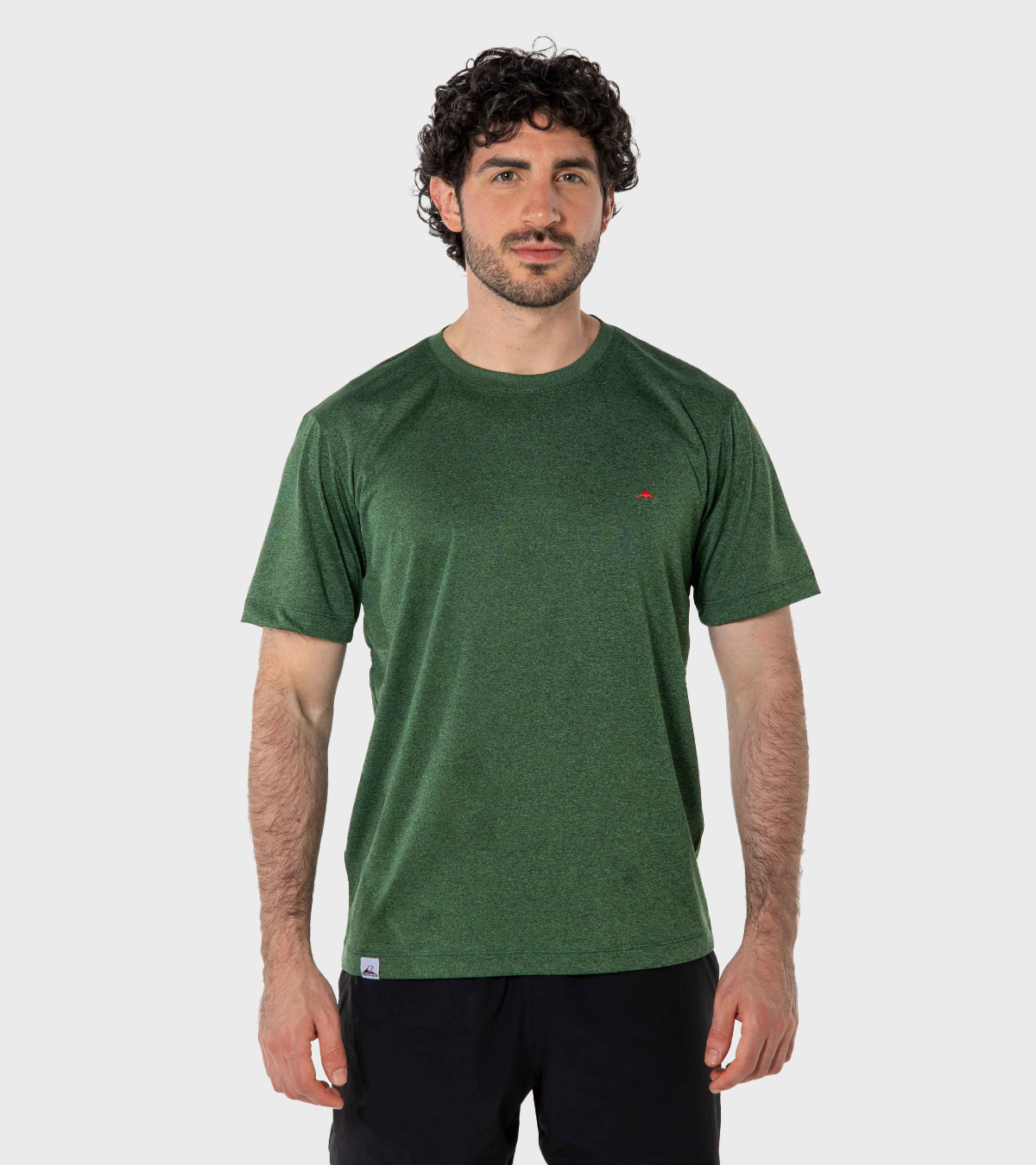 Remera de hombre Asterix