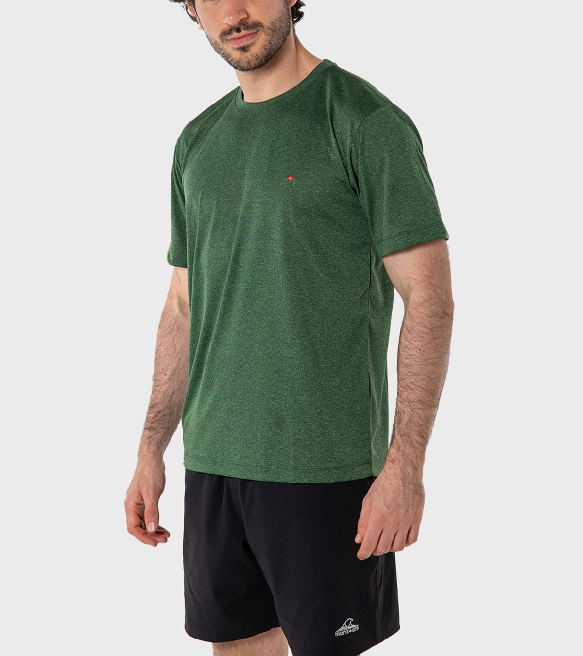 Remera de hombre Asterix