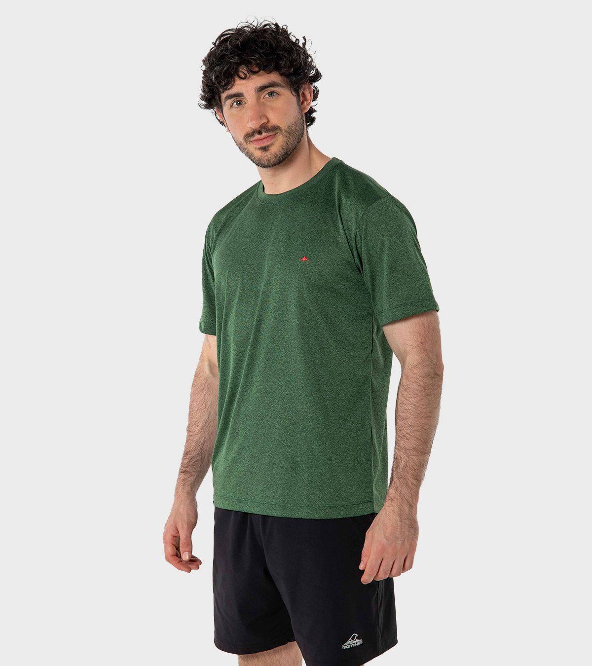 Remera de hombre Asterix