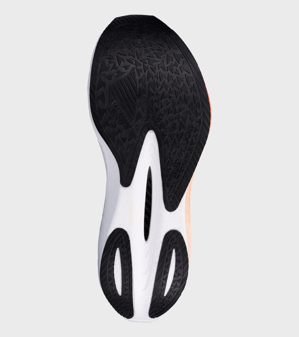 Zapatillas de hombre Halo Pro